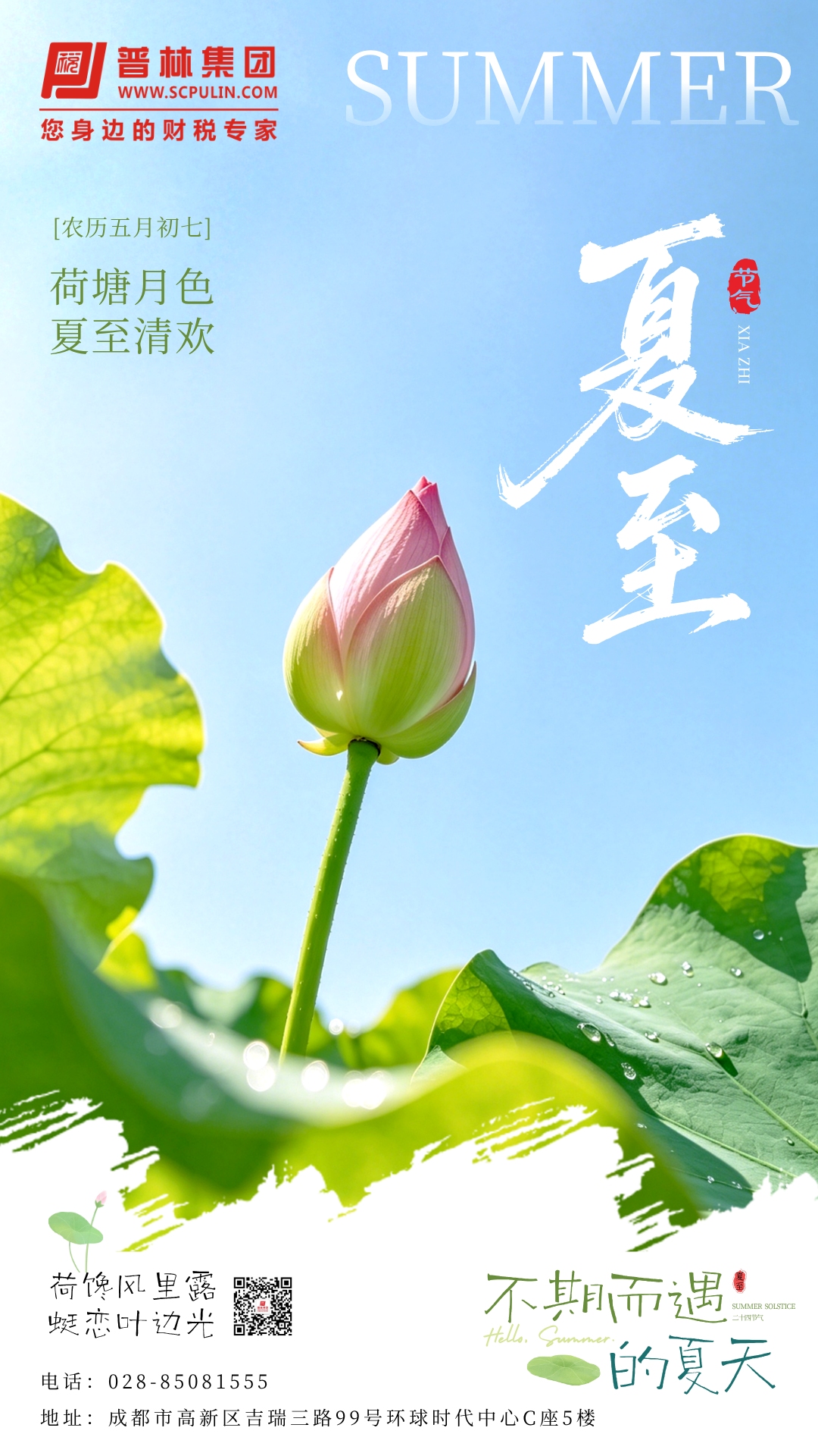 夏至 | 在最长的白昼，遇见最从容的自己